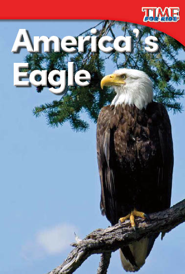 Americas Eagle